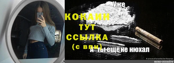 ПСИЛОЦИБИНОВЫЕ ГРИБЫ Медногорск