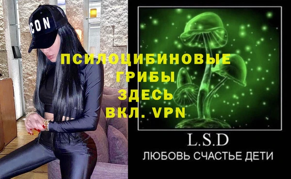 трава Медвежьегорск