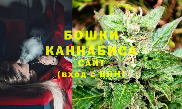 трава Медвежьегорск