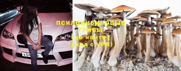 трава Медвежьегорск
