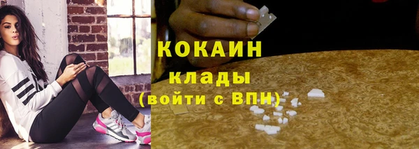 ПСИЛОЦИБИНОВЫЕ ГРИБЫ Медногорск