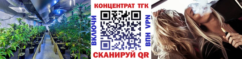 закладка  blacksprut как зайти  ТГК вейп с тгк  Правдинск 