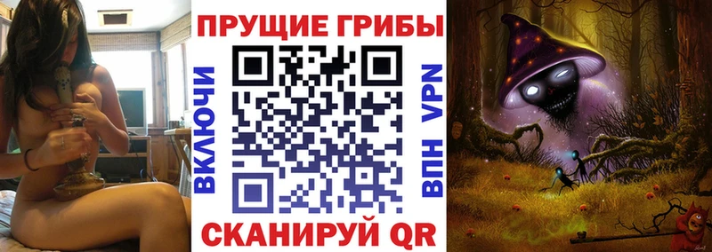 Псилоцибиновые грибы Psilocybe  Правдинск 