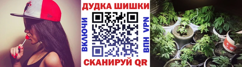 где купить наркоту  Правдинск  Шишки марихуана конопля 
